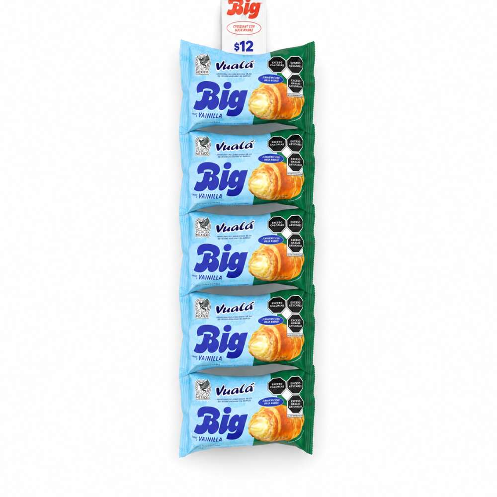 LCB2001 - Vuala Big Sabor Vanilla 48 x 75 gr