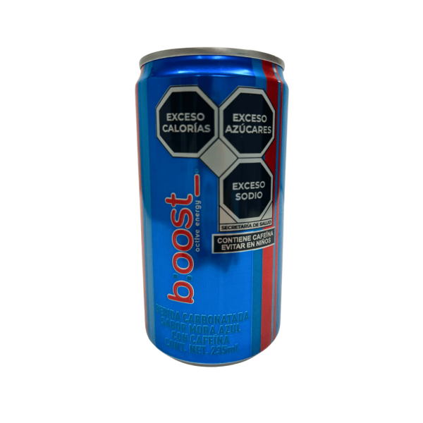 LDK22003 - Boost Energy 12 x 235 ML (Blue Can)