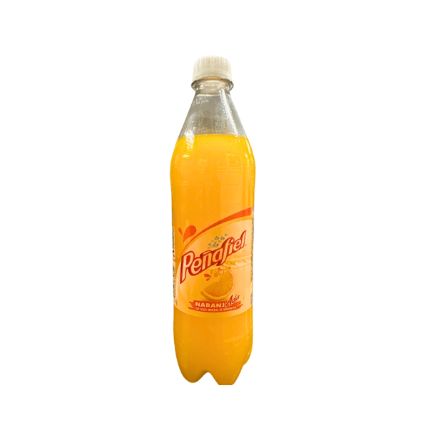 LDK10016 - Penafiel Naranjada Drink Plastic Bottle 12 x 600 ml