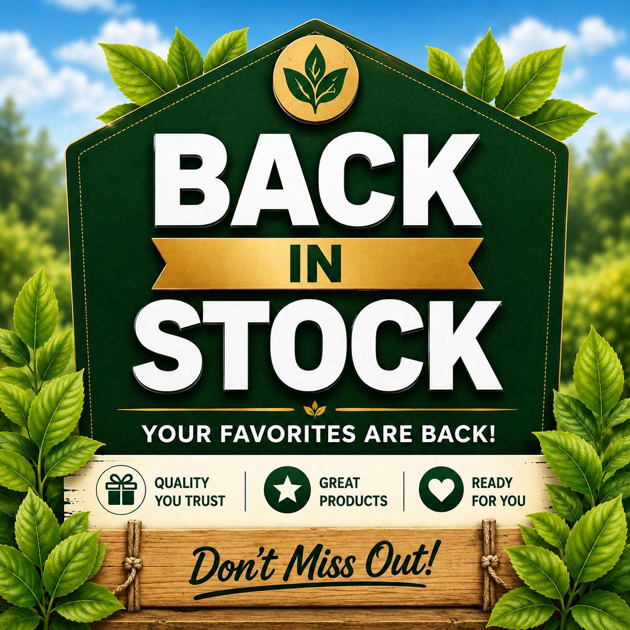 Z - Back in Stock